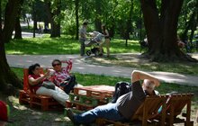 Фото 4: На День міста у Львові розпочався «Міський пікнік»