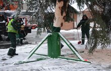 Фото 7: На площі перед Оперним театром встановили головну ялинку міста