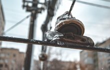 Фото 15: У Львові відновлюють рух трамваїв