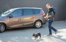 Фото 10: ЛКП «Лев» безкоштовно прочіпує 5 тисяч господарських собак