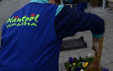 Фото 4: У місті розпочалась весняна висадка квітів 