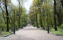 Фото 2: У Стрийському парку та парку ім. І. Франка з'явились шпаківні