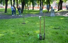 Фото 14: У Замарстинівському сквері висадили перше символічне дерево, ознаменувавши старт його реконструкції