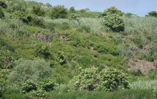 Фото 15: Грибовицьке сміттєзвалище готують до початку дегазації та комплексної рекультивації
