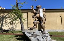 Фото 6: Львівських левів одягнули у вишиванки