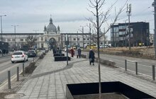 Фото 5: На вул. Чернівецькій встановили захисні огородження для дерев за прикладом Вільнюса