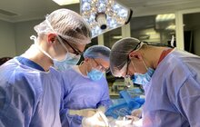 Фото 10: За ніч львівські медики провели чотири трансплантації, і одна з них – унікальна, бо подвійна: одночасно пересадили підшлункову та нирку (відео)