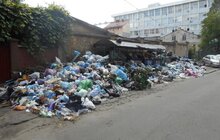 Фото 37: У Львові на кінець дня переповненими є 285 майданчиків у 4 районах міста