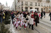 Фото 15: Різдвяного Дідуха встановили у Львові в переддень Різдва