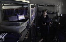 Фото 7: На початку травня у Львові відкриють Центр адопції безпритульних тварин
