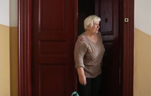 Фото 25: У Львові потребуючих осіб безкоштовно забезпечують продуктовими наборами