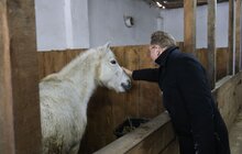 Фото 32: У мерії розглядають можливості комплексного розвитку парку «Знесіння» і Домівки врятованих тварин