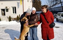 Фото 7: Понад 20 тварин із ЛКП «Лев» знайшли дім у лютому