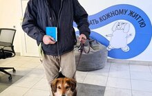 Фото 18: Понад 20 тварин із ЛКП «Лев» знайшли дім у лютому