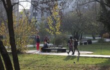 Фото 1: На вул. Кульчицької, 18 залишиться сквер: рішення суду