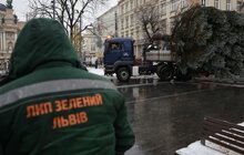 Фото 4: Цього року новорічна ялинка у Львові буде особливою