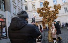 Фото 32: Напередодні Різдва у Львові встановили Різдвяного Дідуха