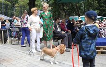 Фото 1: У центрі Львова організували фестиваль «Ковчег дружби»