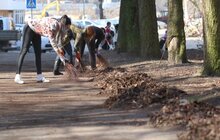 Фото 12: Сьогодні Львів прибирають в рамках акції «З нами місто розквітає»