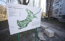 Фото 13: Мерія планує реконструювати вул. Орлика і облаштувати благоустрій біля дитячої лікарні
