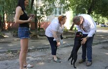 Фото 4: У Львові на вул. Науковій буде простір для людей поважного віку