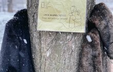 Фото 3: У парку біля Порохової вежі потребуючі можуть взяти собі теплий одяг