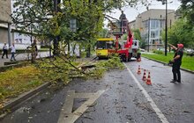 Фото 3: У Львові ліквідовують наслідки негоди