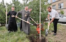 Фото 2: У Львові висадили тюльпанове дерево на честь 25-річчя візиту Папи Івана Павла ІІ