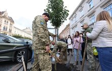 Фото 13: 41 нове дерево висаджують у центральній частині Львова: завдяки спонсорам зможуть закупити 50 дронів