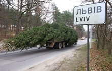 Фото 12: У центрі Львова встановили головну ялинку міста (відео)