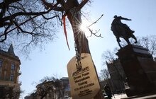 Фото 3: У Львові висадять понад 500 дерев та кущів (відео)