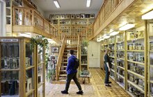 Фото 3: Цьогорічні Дні європейської спадщини у Львові зібрали понад 2 400 відвідувачів