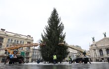 Фото 4: Головну ялинку Львова відвезли на компостування (відео)