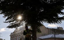 Фото 6: Головну ялинку міста розібрали (відео)
