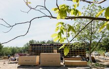 Фото 29: У Львові зводять тимчасові будинки для вагітних переселенок