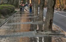 Фото 21: Комунальні служби Львова продовжують дезінфекцію міста