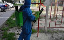 Фото 19: Комунальні служби щоденно проводять дезінфекцію у житлових будинках
