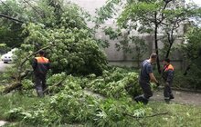 Фото 36: «До прибирання міста було задіяно сьогодні 1694 працівники комунальних підприємств і 72 одиниці техніки», - І. Маруняк