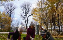 Фото 5: У Стрийському парку висадили нові дерева