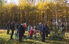 Фото 8: У Стрийському парку висадили нові дерева