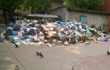 Фото 32: У Львові на кінець дня переповненими є 285 майданчиків у 4 районах міста