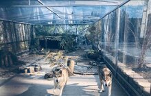 Фото 6: Інститут просвіти дослідив найцікавіші туристичні зупинки парку «Знесіння»