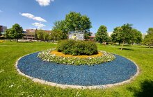 Фото 2: Сихів у квітах: на території району облаштовують квіткові композиції
