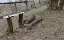 Фото 4: Виявлено порушення при використанні парком «Знесіння» коштів та майна