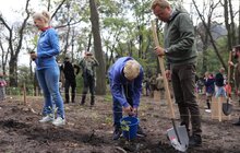 Фото 3: Сьогодні в одному із парків Львова висадили понад 400 дерев