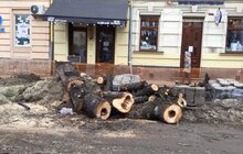 Фото 8: «В підсумку, дерев стане більше, а заміні підлягає трохи більше 40% озеленення вулиці», — О. Сладкова про роботи на вул. Пекарській