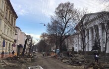 Фото 10: «В підсумку, дерев стане більше, а заміні підлягає трохи більше 40% озеленення вулиці», — О. Сладкова про роботи на вул. Пекарській
