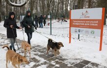 Фото 4: У Львові облаштували ще один тренувально-вигульний майданчик для собак