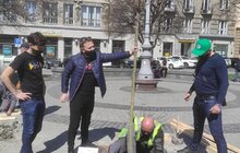 Фото 6: На вихідних у Львові висадили 73 дерева