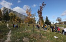 Фото 16: У Львові біля лікарні швидкої медичної допомоги висадили «Сад Здоров’я»
